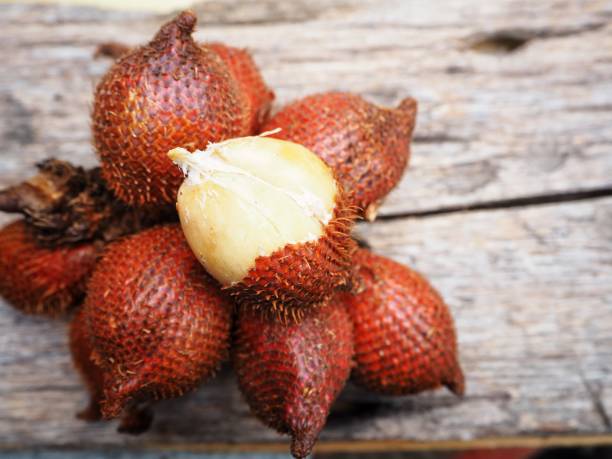 fruit-du-serpent-salak